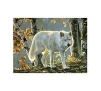 Pracht Creatives Hobby Set per dipingere con Diamanti, Quadro con Motivo di Lupo Bianco e Accessori, Set per dipingere con Pietre Scintillanti, per Bambini a Partire dai 5 Anni di età