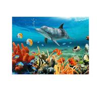 Pracht Creatives Hobby Set per dipingere con i Diamanti, Quadro con Motivo a Delfino e Accessori, Set per dipingere con Pietre Glitterate, per Bambini dai 5 Anni in su