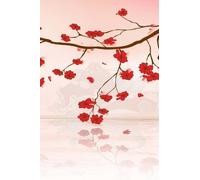 Practice Kaizen Japanese Writing Practice Book (Tascabile)