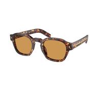 Prada Uomo PR A16S 14O60F Occhiali da sole Acetato Tartaruga Marrone Pantos Fotocromatiche Fotocromatico