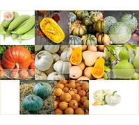 Prademir Set di 11 sementi di zucca diverse varietà per la coltivazione di piante da giardino e balcone