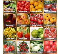 Prademir - Set di semi di pomodoro di 16 varietà rare e antiche - Set per la coltivazione di pomodori con semi naturali al 100% raccolti a mano dal Portogallo