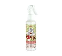Prady - Deodorante per Ambienti Home Spray Mela & Cannella - 220 ml - Fragranza Calda e Avvolgente