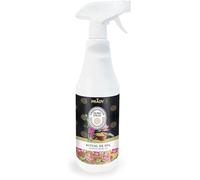 Prady - Spray per Ambienti Fragranza Ritual de Spa - 700 ML - Aroma Rilassante e Rigenerante per Ogni Ambiente