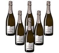 Praeclarus Spumante Brut Blanc De Blancs Alto Adige Doc Kellerei St.Paul (6 bottiglie 75 cl)