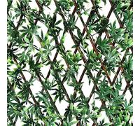 Prafor VERDE PER PASSIONE Traliccio Estensibile in Legno, Acero artif., 1x2m