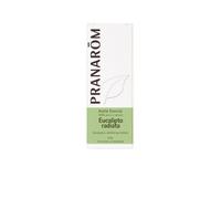 Pranarôm Essential Oil Eucalyptus Radiata 10Ml