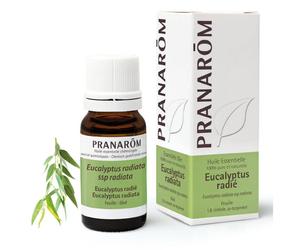 PRANARÔM Eucalyptus Radiata 10 ml Olio essenziale