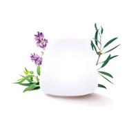 Pranarôm Joy Essential Oil Diffuser Premium Edition 1 Unit