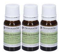 Pranarom Lanvandino Olio Essenziale Bio 3x10 ml Soluzione orale