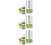 Pranarom Olio Essenziale Carota Frutto 3x5 ml Soluzione orale