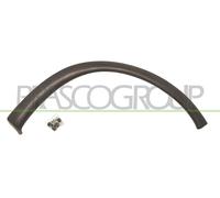 PRASCO Allargamento parafango Parafanghi allargati OP0281581 Anteriore Dx