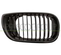 PRASCO BM0202023 Griglia radiatore Compatibilità con BMW 3 Sedan E46 3 Touring E46 3 Compact E46 3 Cabrio E46
