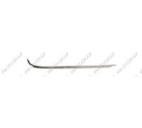 Prasco BM0441257 - Modanatura Decorativa/Protettiva, Paraurti