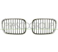 PRASCO BM0452003 Griglia radiatore