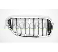 Prasco Griglia radiatore BM0522003 Nera per BMW 5 Serie Touring G31 G30 F90