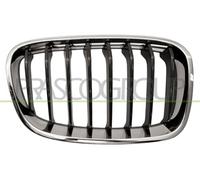 PRASCO BM1232023 Griglia radiatore