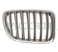 PRASCO BM7022033 - Spoiler per griglia frontale