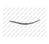PRASCO Cer Listello di Protezione Paraurti Anteriore SX per VW Touran 1T1 1T2