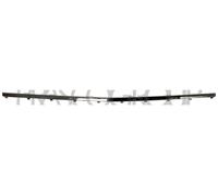 PRASCO Cer Listello di Protezione Paraurti Frontale per BMW 7er E65 E66 E67