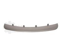PRASCO Cer Listello di Protezione Paraurti Frontale per BMW X5 E70 Grigio Cromo