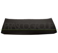 PRASCO Cer Listello di Protezione Paraurti Frontale per Ford Kuga II DM2