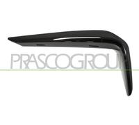 PRASCO Cer Listello di Protezione Paraurti Frontale SX per BMW 5er Touring