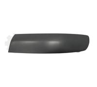 PRASCO Cer Listello di Protezione Paraurti Frontale SX per Bus VW Transporter V
