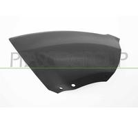 PRASCO Cer Listello di Protezione Paraurti Frontale SX per Ford Ecosport Nero