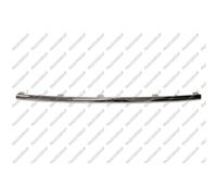 PRASCO Cer Listello di Protezione Paraurti Posteriore per VW Passat Cc 357