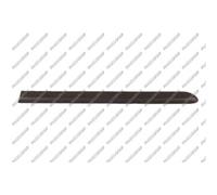 PRASCO Cer Listello di Protezione Porta Posteriore Sinistra per Fiat Doblo 119