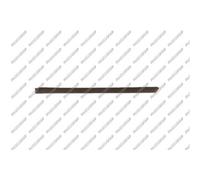 PRASCO Cer Listello di Protezione Porta Posteriore Sinistra per VW Polo 6N2