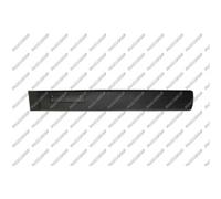 PRASCO Cer Listello di Protezione Portiera Anteriore SX per Citroën Berlingo Mf