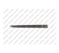 PRASCO Cer Listello di Protezione Portiera Posteriore Dx per Renault Clio III