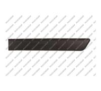 PRASCO Cer Listello di Protezione Portiera Posteriore SX per Fiat Fiorino Cassa