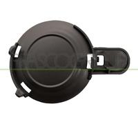 PRASCO CI2041242 Cornice Fendinebbia Sx