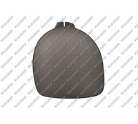 PRASCO Copertura, Faro RN3201247 Compatibile con: RENAULT CLIO II