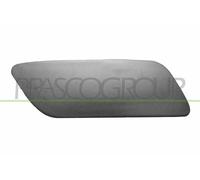 PRASCO Copertura Paraurti Anteriore Destro Adatta Per Audi A6 Avant 4F5 C6 4F2