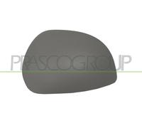 PRASCO Copertura Specchietto Laterale Sinistro Adatta Per Citroën C3 I FC_ FN_