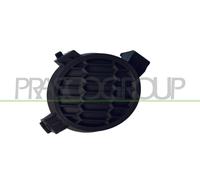 PRASCO Cornice, Fendinebbia anteriore destro DS0121249