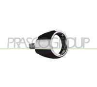 PRASCO Cornice, Fendinebbia anteriore destro FD3442123