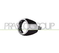 PRASCO Cornice, Fendinebbia anteriore sinistro FD3442124