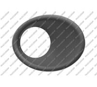 CORNICE FENDINEBBIA DESTRO per PEUGEOT 206+