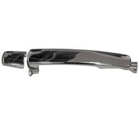 PRASCO DS8328005 Maniglia porta