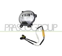 PRASCO Fari Fendinebbia LED Destra per Audi A4 Avant Q5 Seat Exeo Pezzi 8K5 B8