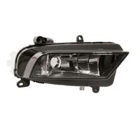 PRASCO Fari Fendinebbia Luce di Nebbia Leggera Nebbia Destra per Audi A4 8K2 B8