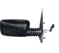 Prasco FT0177003 - Specchio Esterno