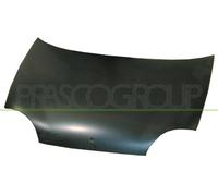 Prasco Cofano motore FT0193100 per Fiat Seicento