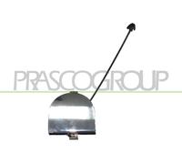 PRASCO FT0301287 Ribalta Gancio traino per FIAT 500 (312)