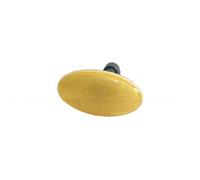PRASCO Indicatore direzione FT1134039